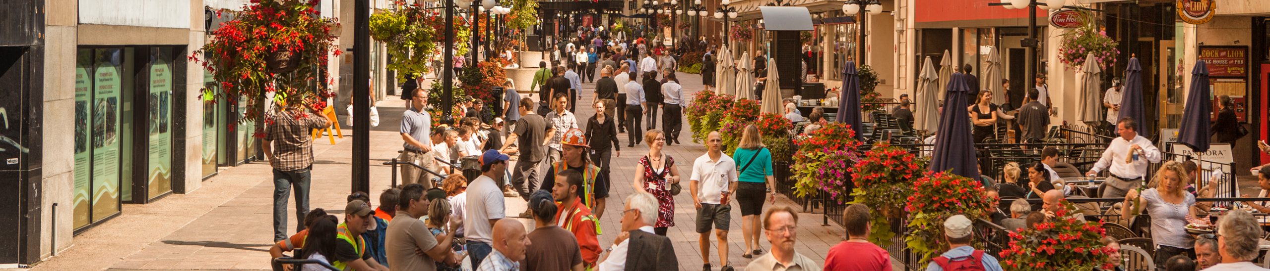 Local shopping in Ottawa